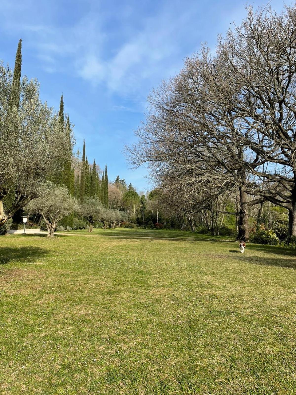 Villeneuvette Le Moulin Haut Gites מראה חיצוני תמונה